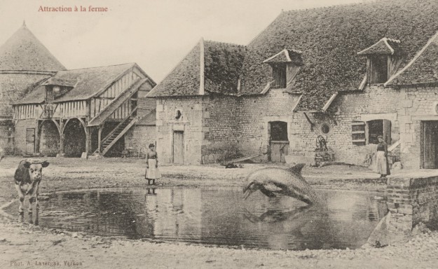 DesDauphinsAlaCampagne