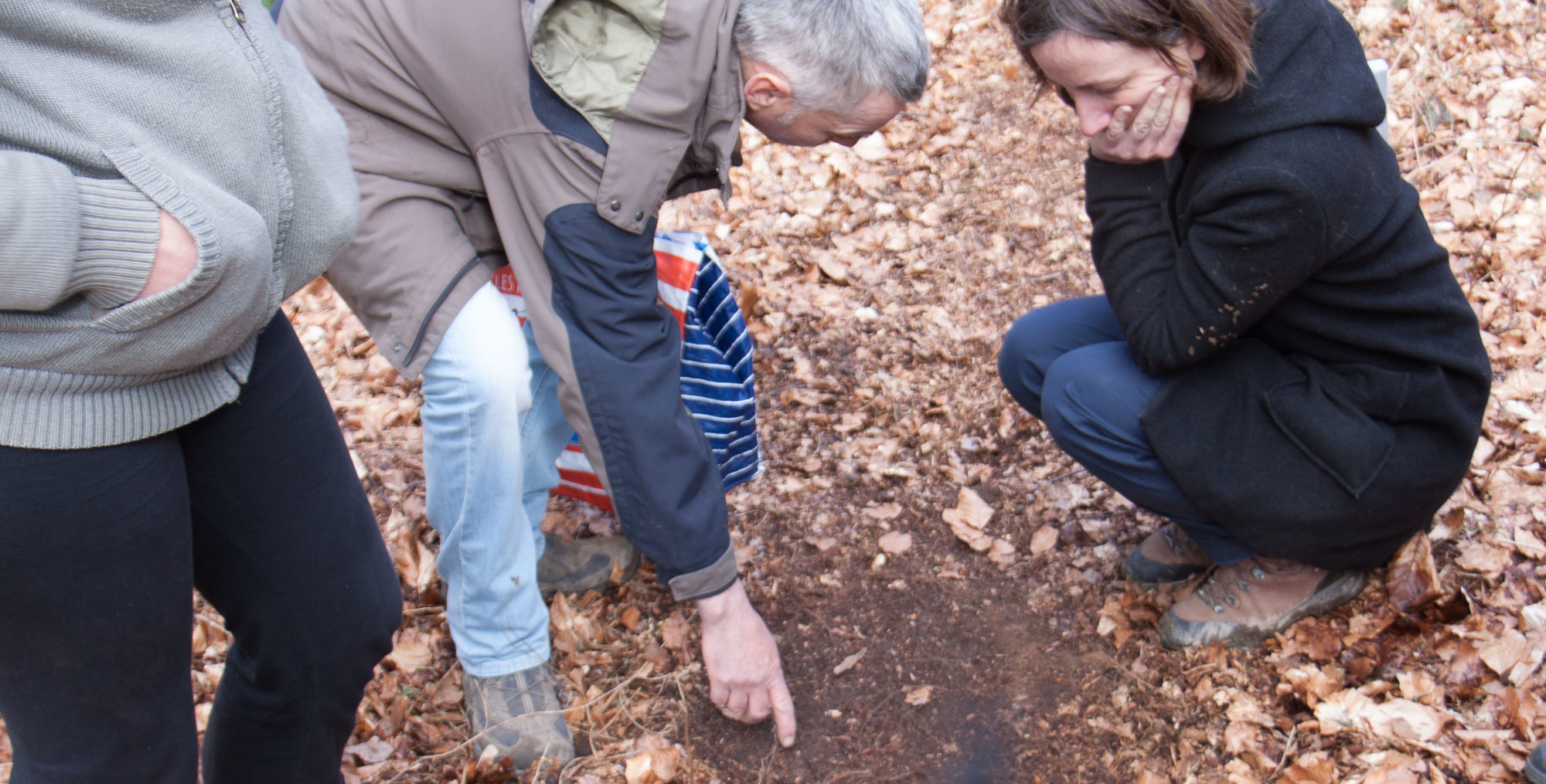 Sur un chemin, 3 personnes regardent une zone dépouillée de feuille morte.